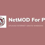 Netmod injector for pc