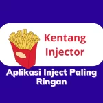 aplikasi kentang injector