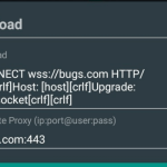 payload-websocket-ssl